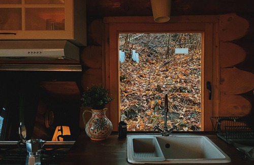 Pesteana Cabina | Havens Treehouse Transylvania