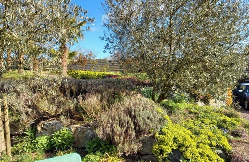 Le Rheu Cama Y Desayuno | Havre de paix et jardin tropical. Chambre privée