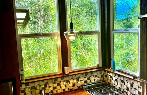 Pahoa Cama Y Desayuno | Hawaiian Sanctuary