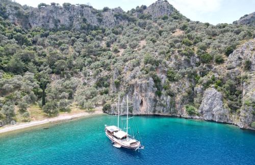 Fethiye City Center Alquiler De Eote | Hayat Bu, Boot