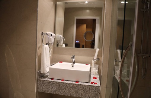 Bole Hotel | Hayes Hotel Addis Ababa