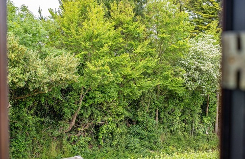 Wadebridge Cabaña | Hazelhurst