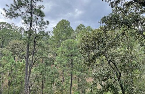 Tapalpa Chalet De Esquí | Heart of the Forest