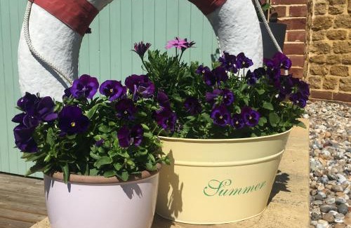 West Bay Cama Y Desayuno | Heatherbell Cottage Guest Accommodation