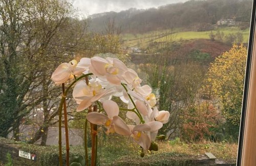Wadsworth Casa | Hebden Royd House Hebden Bridge