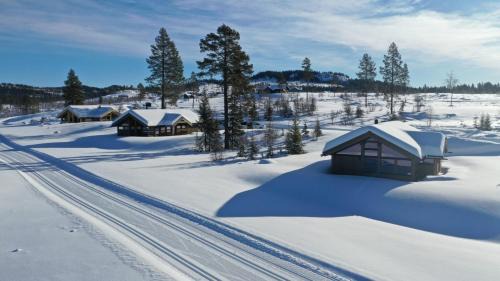 Oystre Slidre Casa | Hedda Robølshøvda - 3 bedroom cabin with a lovely view