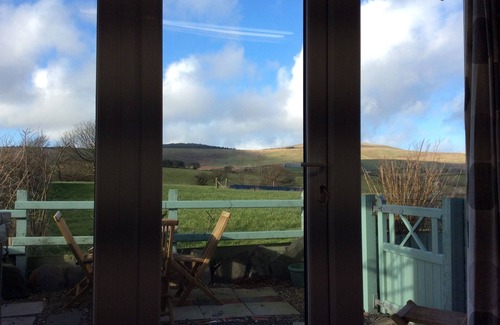 Maenclochog Cabina | Hedgerow Hut - el escondite perfecto