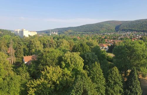 Hamor Apartamento | Hegyalja Apartman