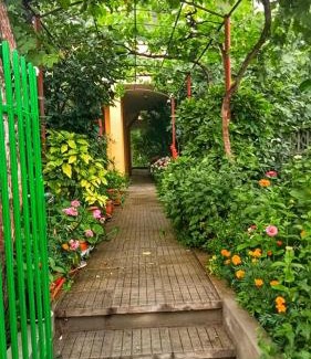 Primorsko Casa | Heidi's - Summer villa Primorsko