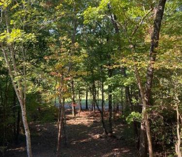 Helen Casa | Helen, GA Bear Paw Haus 4 bdrm, sleeps 10, fire pit, pool table, on Golf course