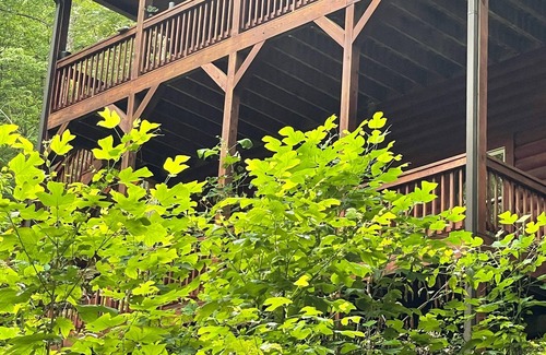 Helen Cabina | Alpenhaus Cabins Real Log Home en las montañas Helen Ga