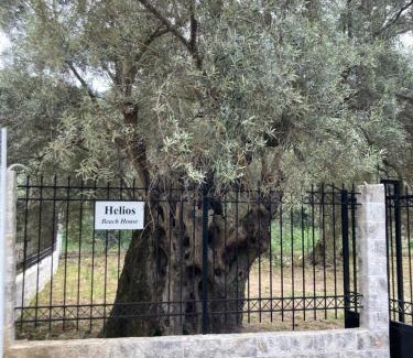 Mikros Gialos Casa | Helios Beach House