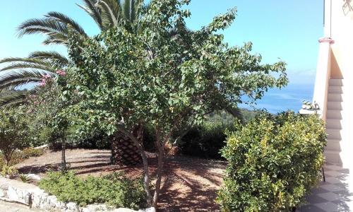 Manganos Apartamento | Heliovasilema (Sunset) Apartments and Studios
