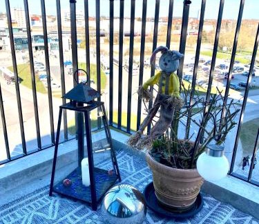 Sudstadt Apartamento | Helles Apartment über den Dächern Rostocks