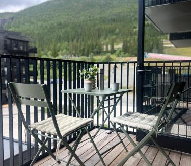 Hemsedal Apartamento | Helt ny leilighet ski in- ski out i Hemsedal