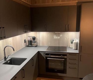 Hemsedal Apartamento | Helt ny leilighet ski in- ski out i Hemsedal