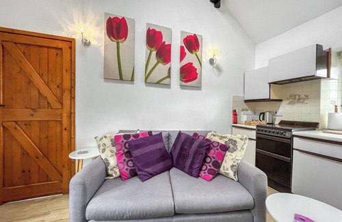 Hendrerwydd Cabaña | Henfaes Bwthyn - UK50266