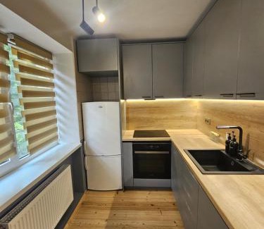 Jelgava Apartamento | Hercogs