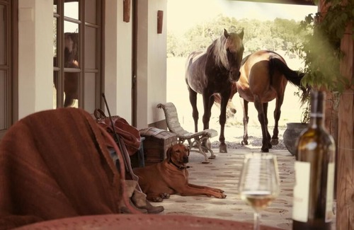 Arraiolos Casa | Herdade da Saudade - La Casita