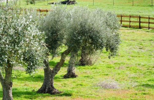 Grandola Casa | Herdade das Fontainhas