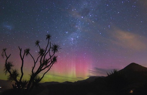 Dunedin Cama Y Desayuno | Hereweka Garden Retreat