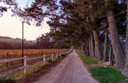 Papiesvlei Apartamento | Hermanuspietersfontein Cottages