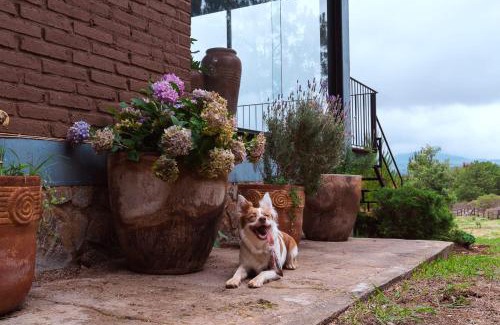 Tapalpa Casa | Hermosa cabaña de descanso en Tlapalpa