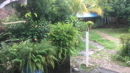 Suarez Casa | Hermosa casa vacacional