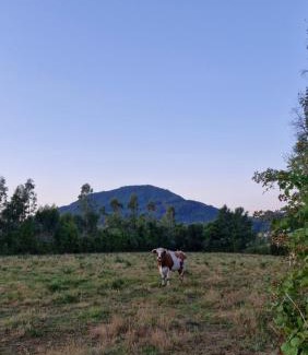 Bajos de Lircay Casa | Hermosa y espaciosa casa de campo con vistas a la montaña