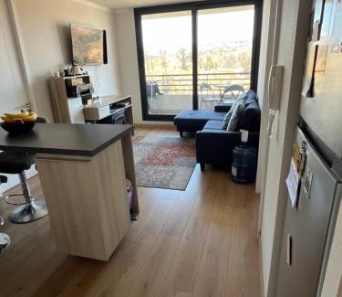 Vina del Mar Apartamento | Hermoso departamento en Viña del Mar