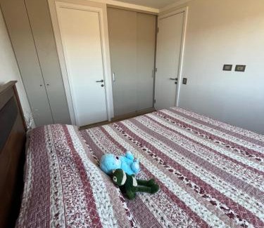 Vina del Mar Apartamento | Hermoso departamento en Viña del Mar