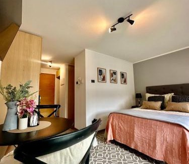 Concepcion Apartamento | Hermoso Estudio