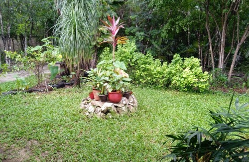 Cozumel Apartamento | Hermoso y tranquilo departamento a 5 minutos del pueblo. En Villa Colibrís.
