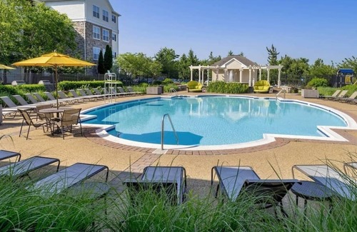 Herndon Apartamento | Herndon #11306 · Monochromatic Modern 2BR|2BTH Min. IAD w Amenities