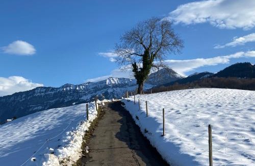 Spiez Apartamento | Herrlicher Blick auf Berge und See