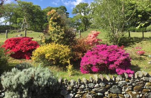 Llanfachreth Cama Y Desayuno | Heulwen Guest House