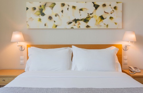 Santo Antonio Hotel | HF Fenix Garden