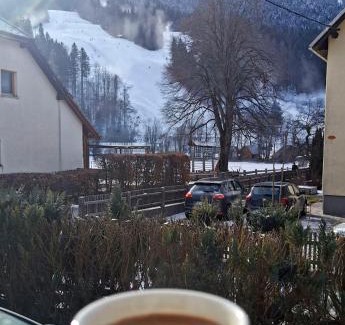 Podkoren Apartamento | Hiša MIHA Stunning Spacious House & Apartment Podkoren Kranjska Gora