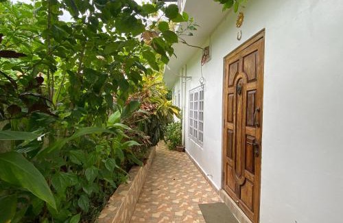 Port Blair Casa | Hibiscus Home Stay & Boutique