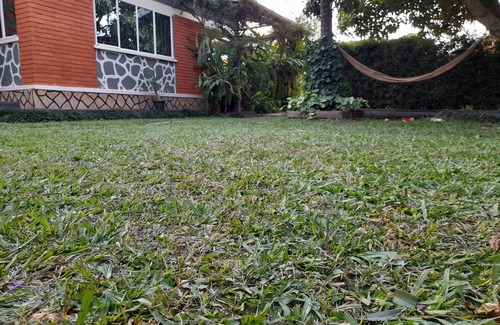Bukoto Casa | Hibiscus House