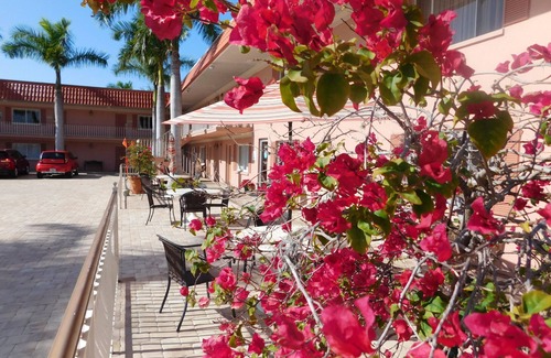Sarasota Apartamento | Hibiscus Suites - Gateway to Siesta Key