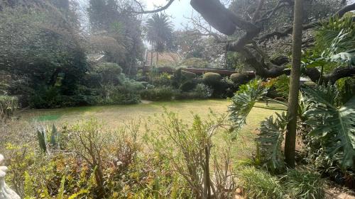 Germiston Casa | Hidden Gem Art Guesthouse , one of a kind