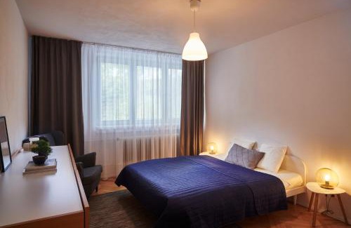 Demanova Apartamento | Hidden Gem of Jasna, Váš skrytý poklad v Jasnej