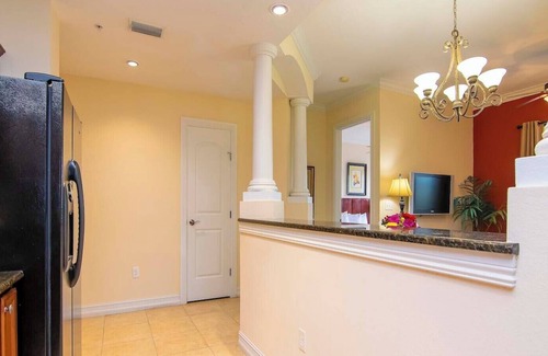 Carrollwood Complejo | Hidden in the Heart of Tampa