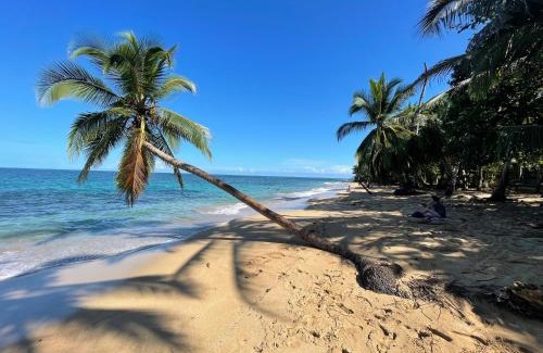 Punta Uva Apartamento | Hidden jungle spot 50m from the Caribbean Sea