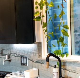 Eagle Rock Casa | Hidden Oasis 3 bedroom 2 bathroom Home With large backyard and Views Near DTLA