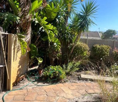 Plumstead Casa | Hidden weaver
