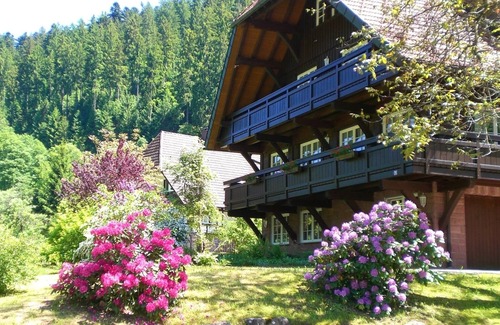 Bad Rippoldsau-Schapbach Apartamento | Escondite cerca de la Selva Negra