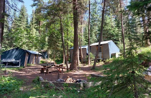 Olney Alquiler De RV | Hideaway Hut 1/ 2 Twins