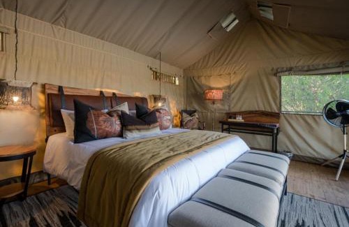 Phalaborwa Otro | Hideaways Amava River Lodge, Balule, Greater Kruger